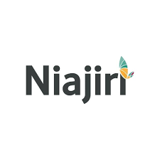 Nafasi ya kazi :- Senior Finance Officer at Niajiri Platform October 2026